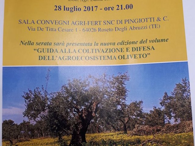28_luglio