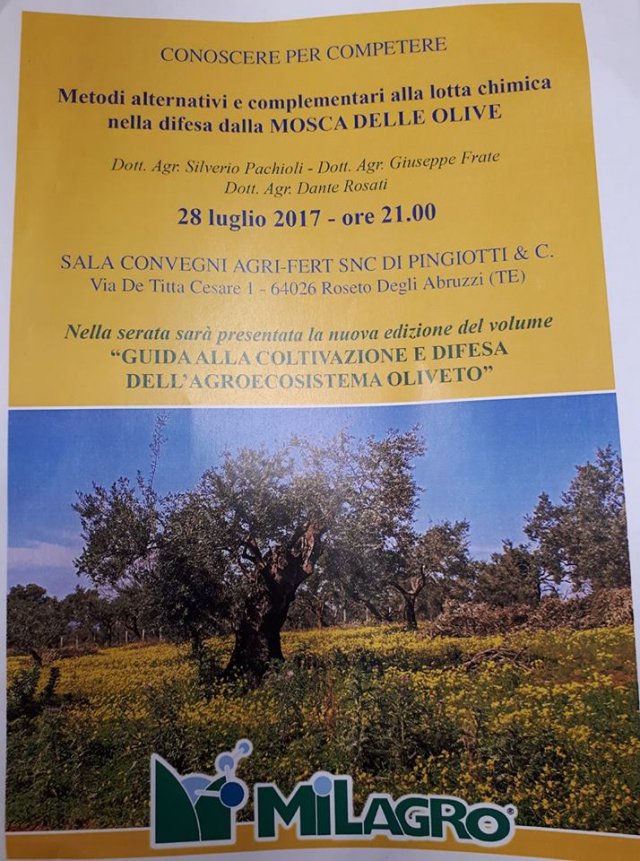 28_luglio