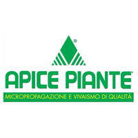 apice-piante