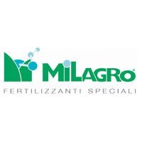 milagro